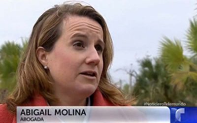 Attorney Abigail Molina Interviewed by Telemundo